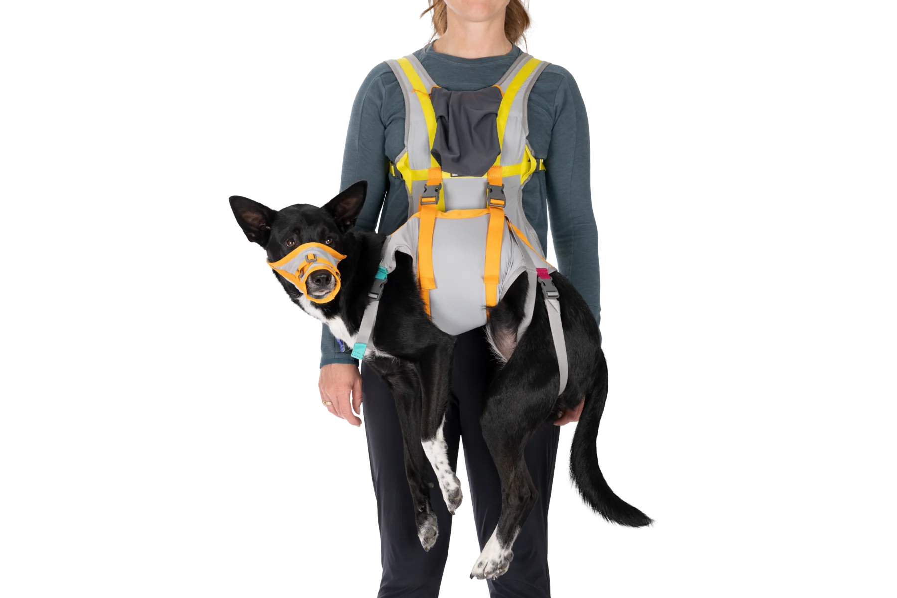 BackTrak™ Evakuierungsset für Hunde