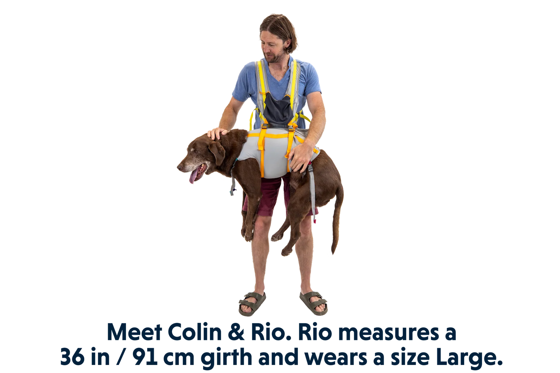 BackTrak™ Evakuierungsset für Hunde - Image 10