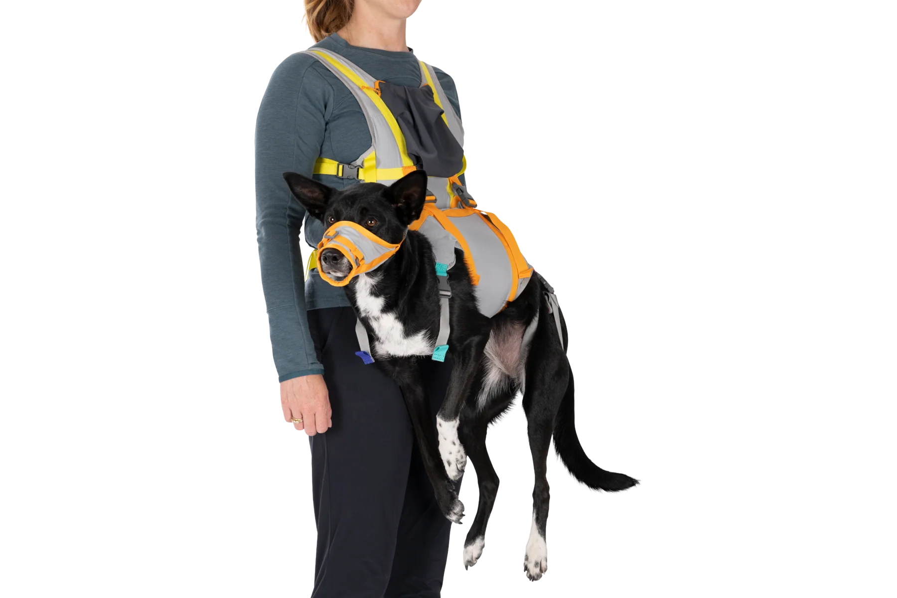 BackTrak™ Evakuierungsset für Hunde - Image 4