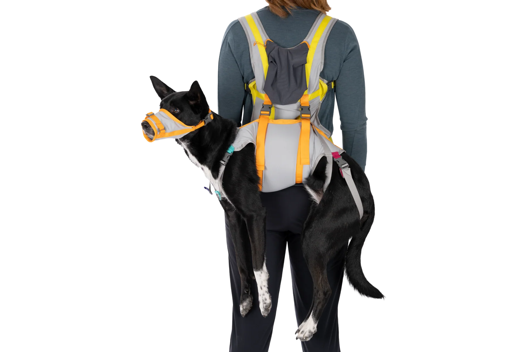 BackTrak™ Evakuierungsset für Hunde - Image 5