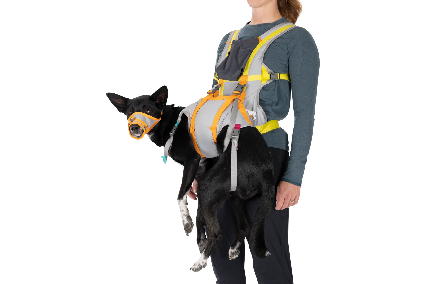 BackTrak™ Evakuierungsset für Hunde - Image 7