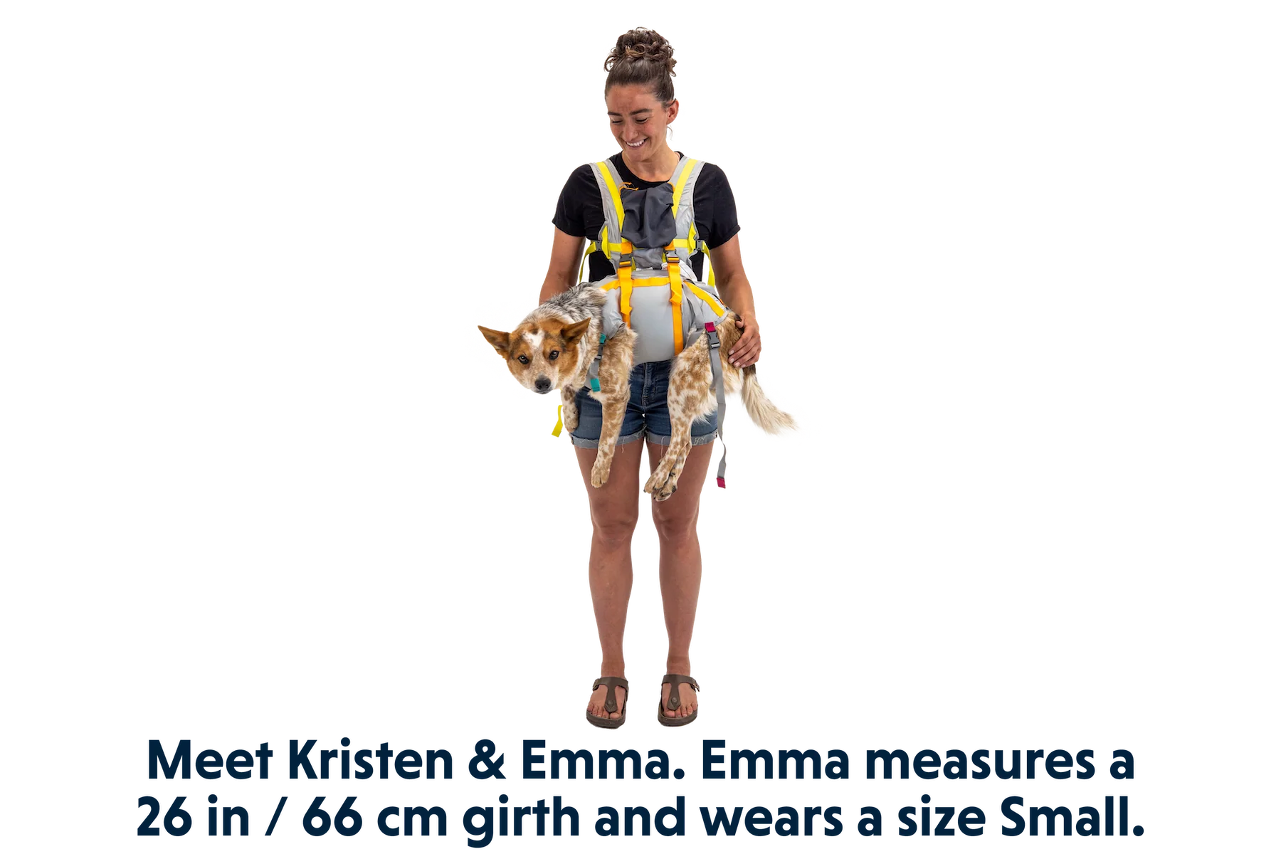 BackTrak™ Evakuierungsset für Hunde - Image 8