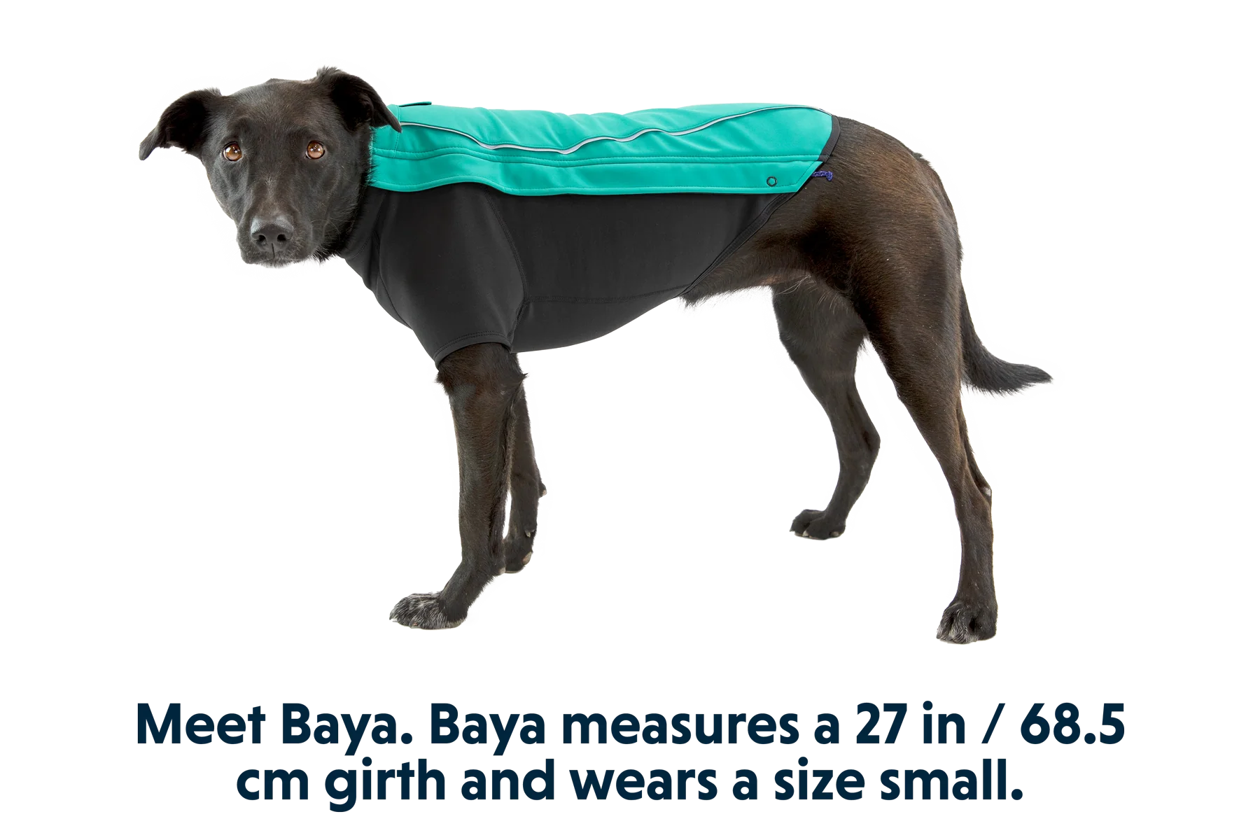 Cloud Chaser™ Hundejacke - Image 7