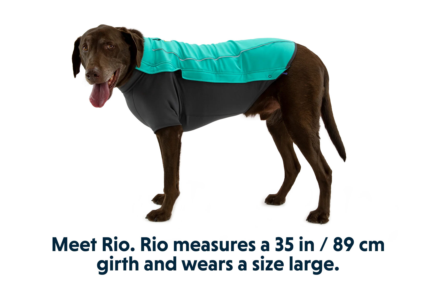 Cloud Chaser™ Hundejacke - Image 8
