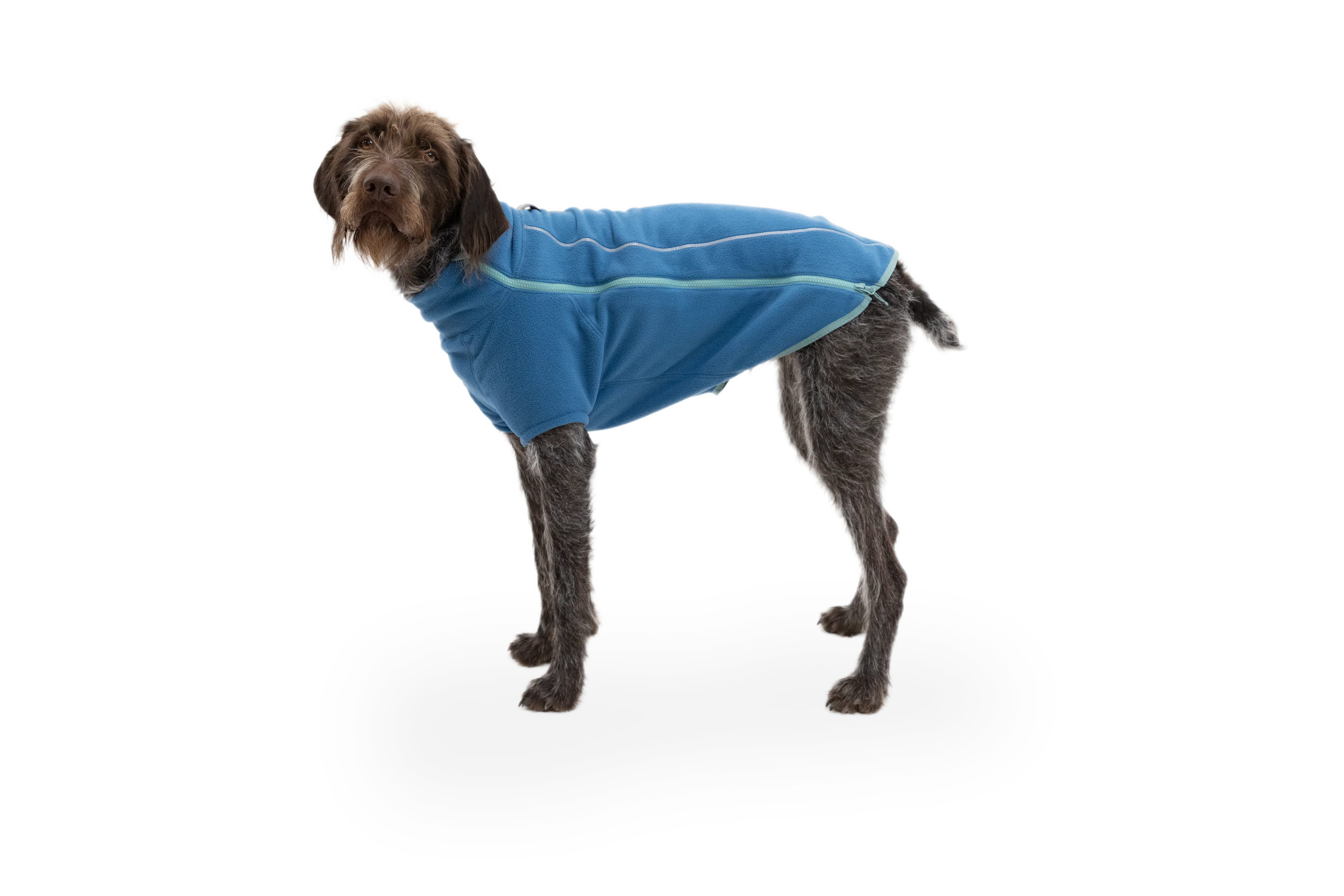 Climate Changer™ Fleece-Jacke Für Hunde - Image 20