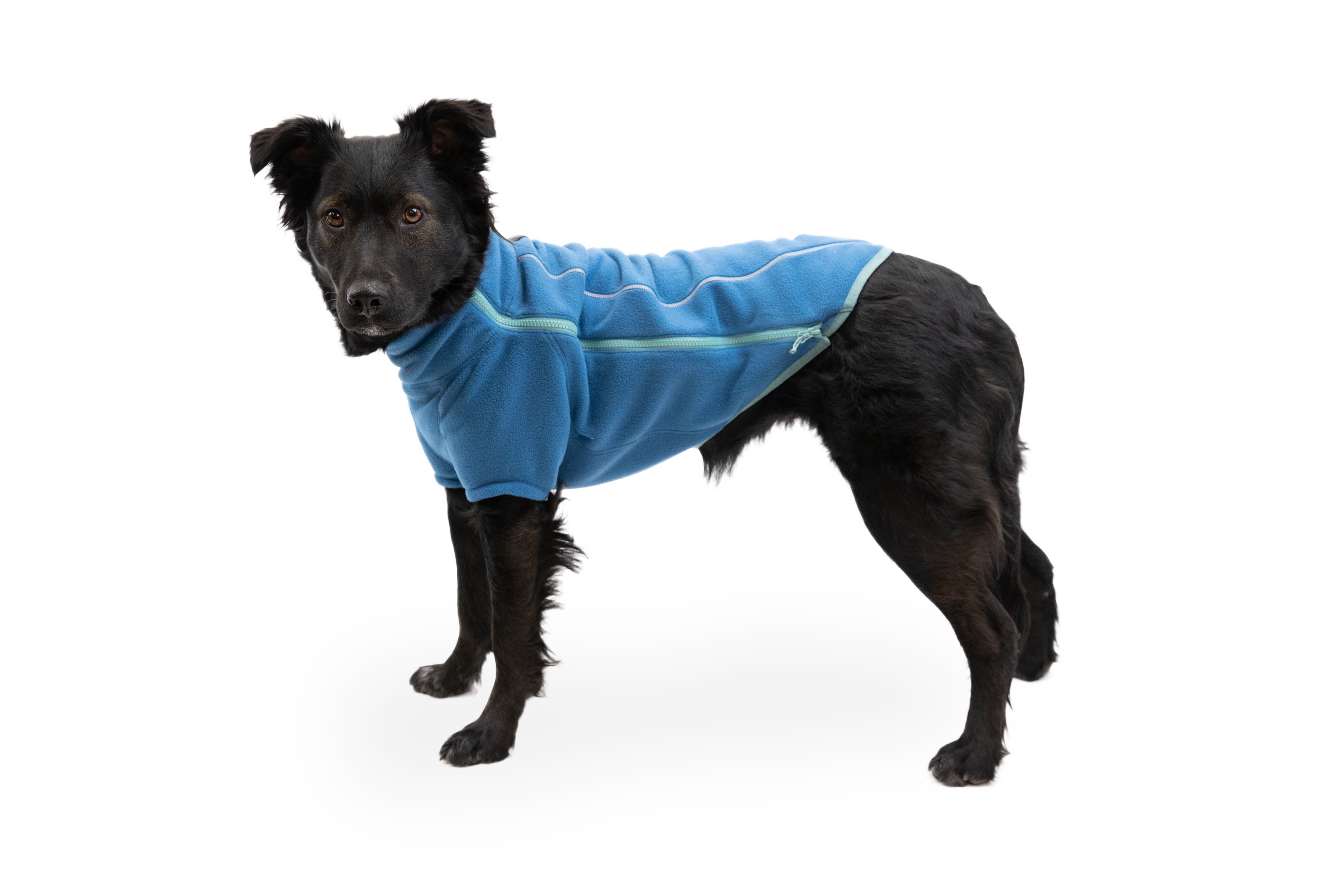 Climate Changer™ Fleece-Jacke Für Hunde - Image 26