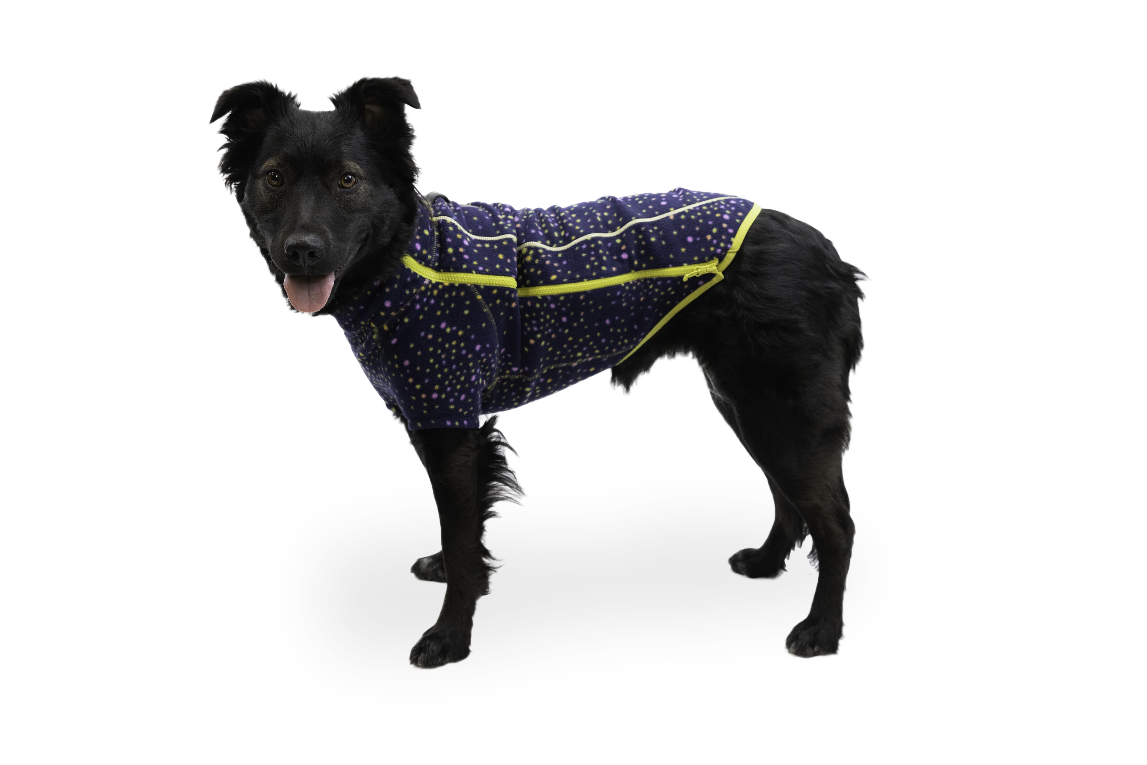 Climate Changer™ Fleece-Jacke Für Hunde - Image 34