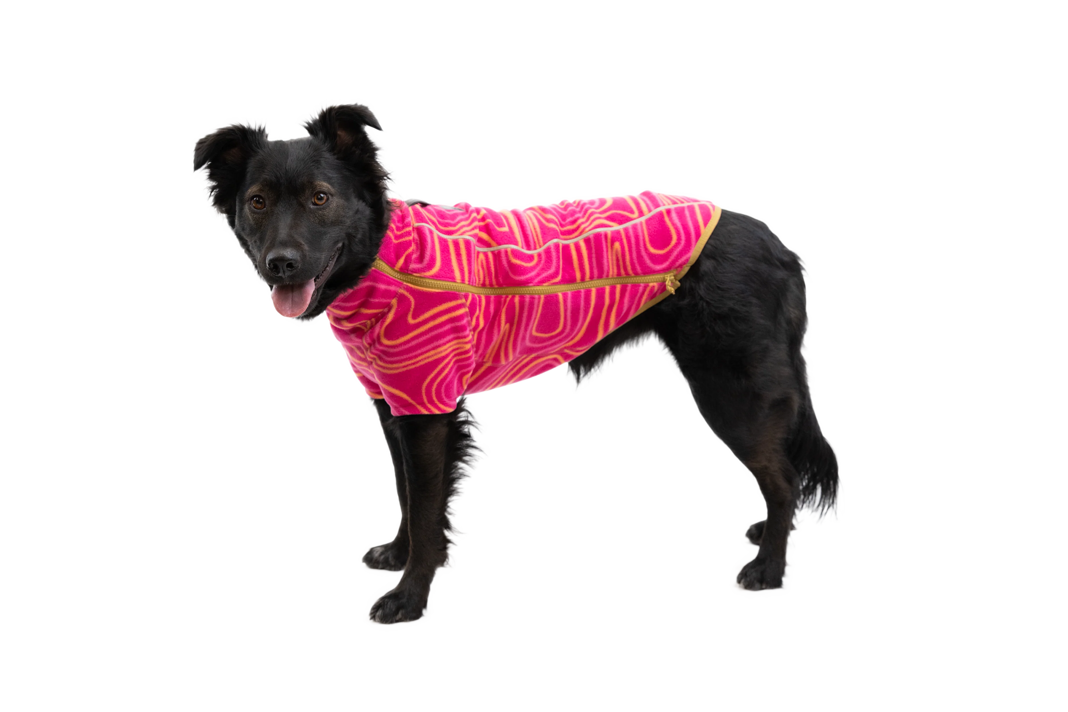 Climate Changer™ Fleece-Jacke Für Hunde - Image 36