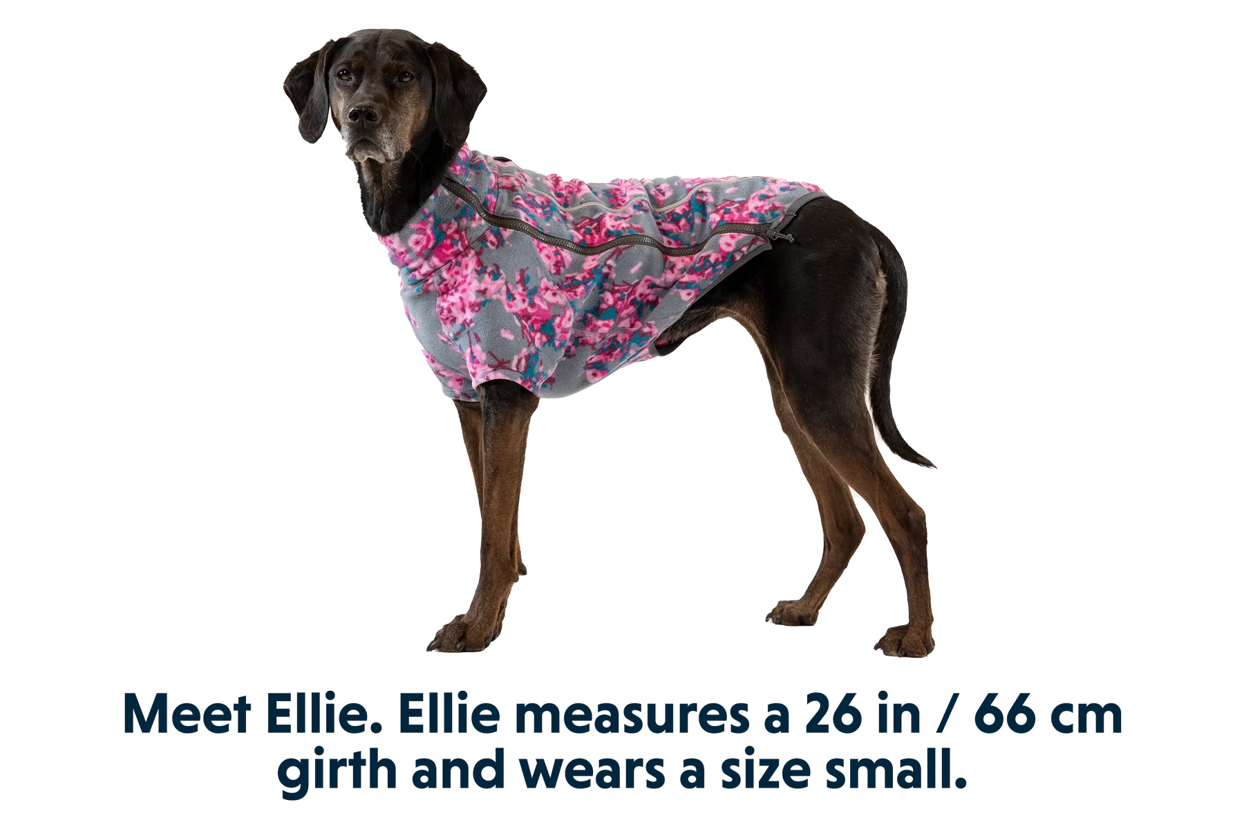 Climate Changer™ Fleece-Jacke Für Hunde - Image 4