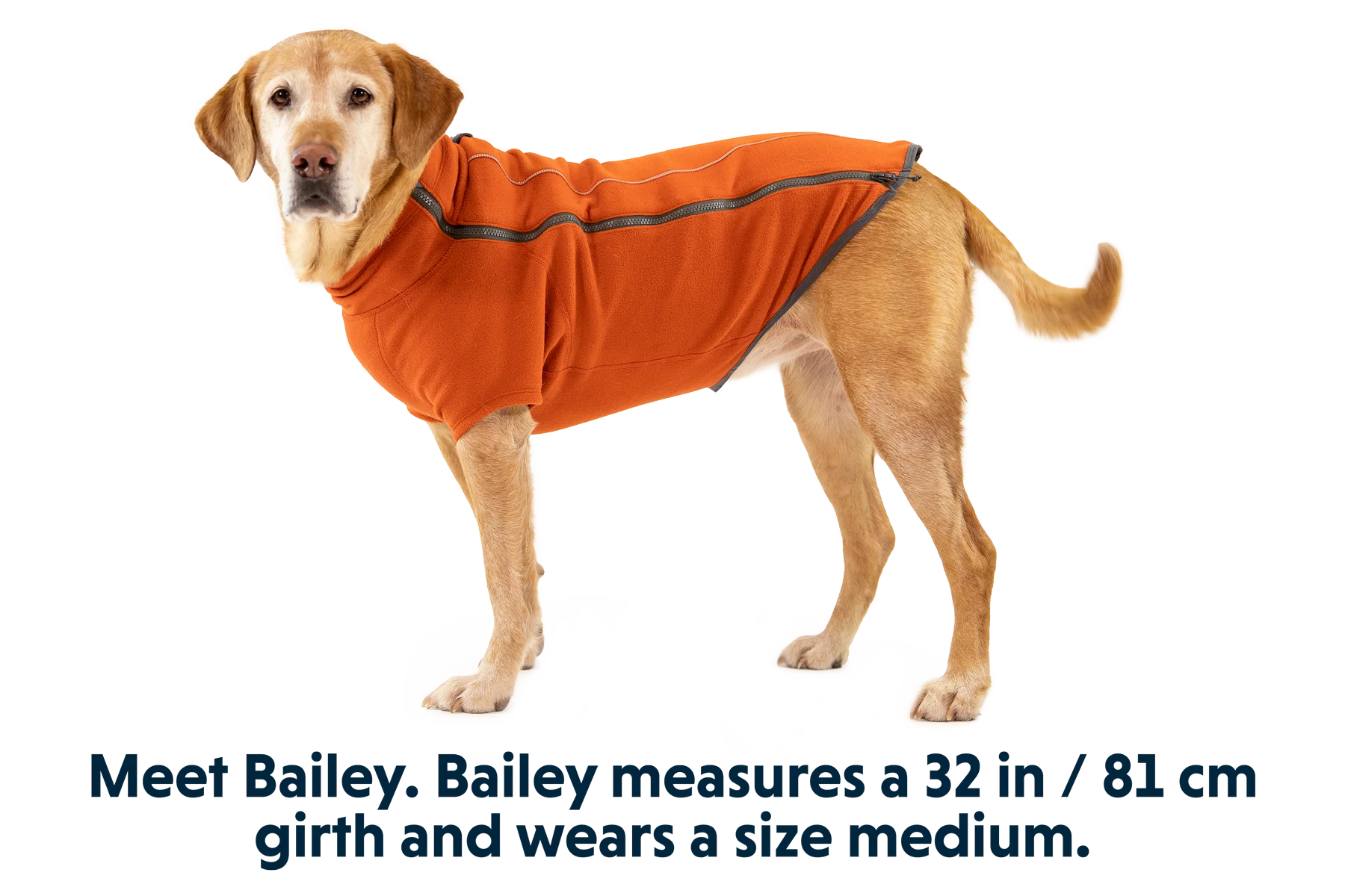 Climate Changer™ Fleece-Jacke Für Hunde - Image 8