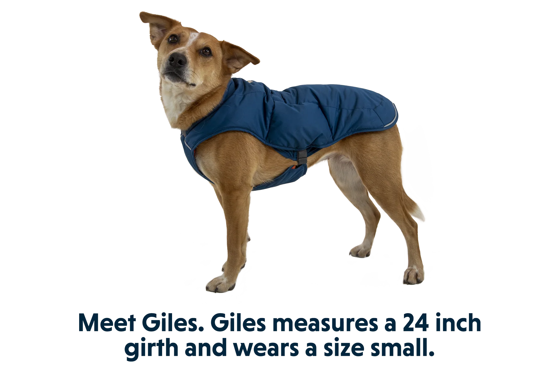 Quinzee™ Hundejacke - Image 11