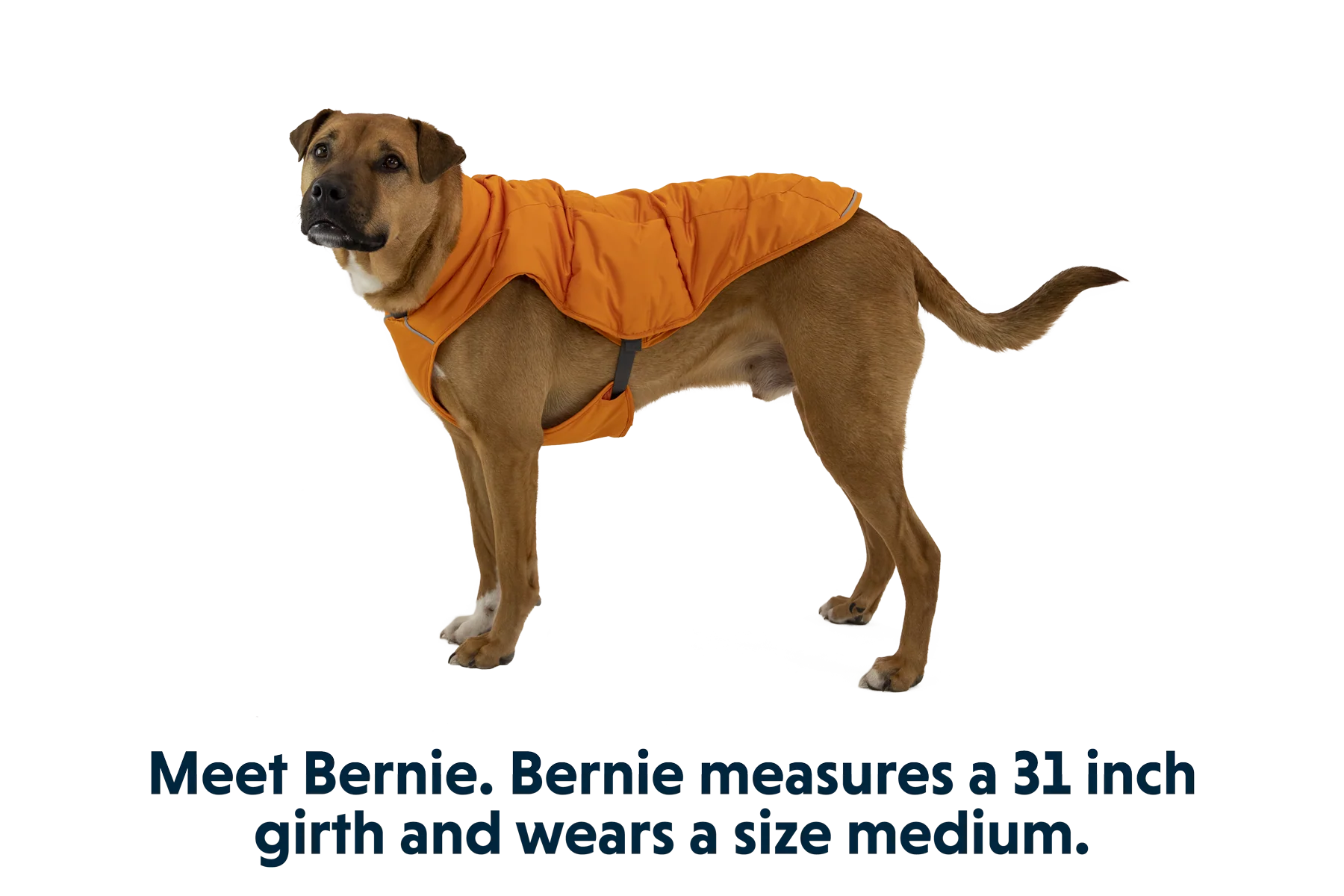 Quinzee™ Hundejacke - Image 20