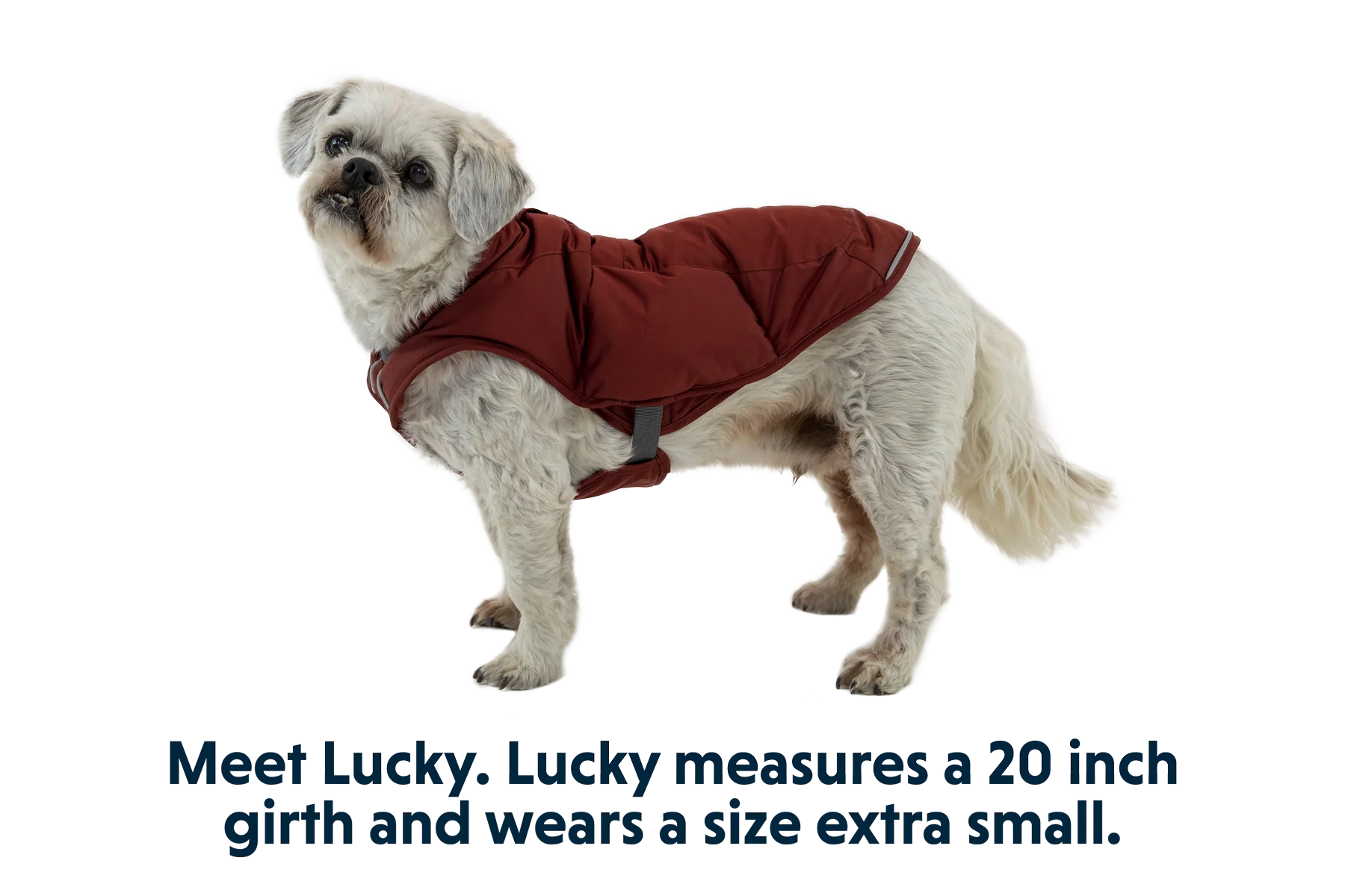 Quinzee™ Hundejacke - Image 31