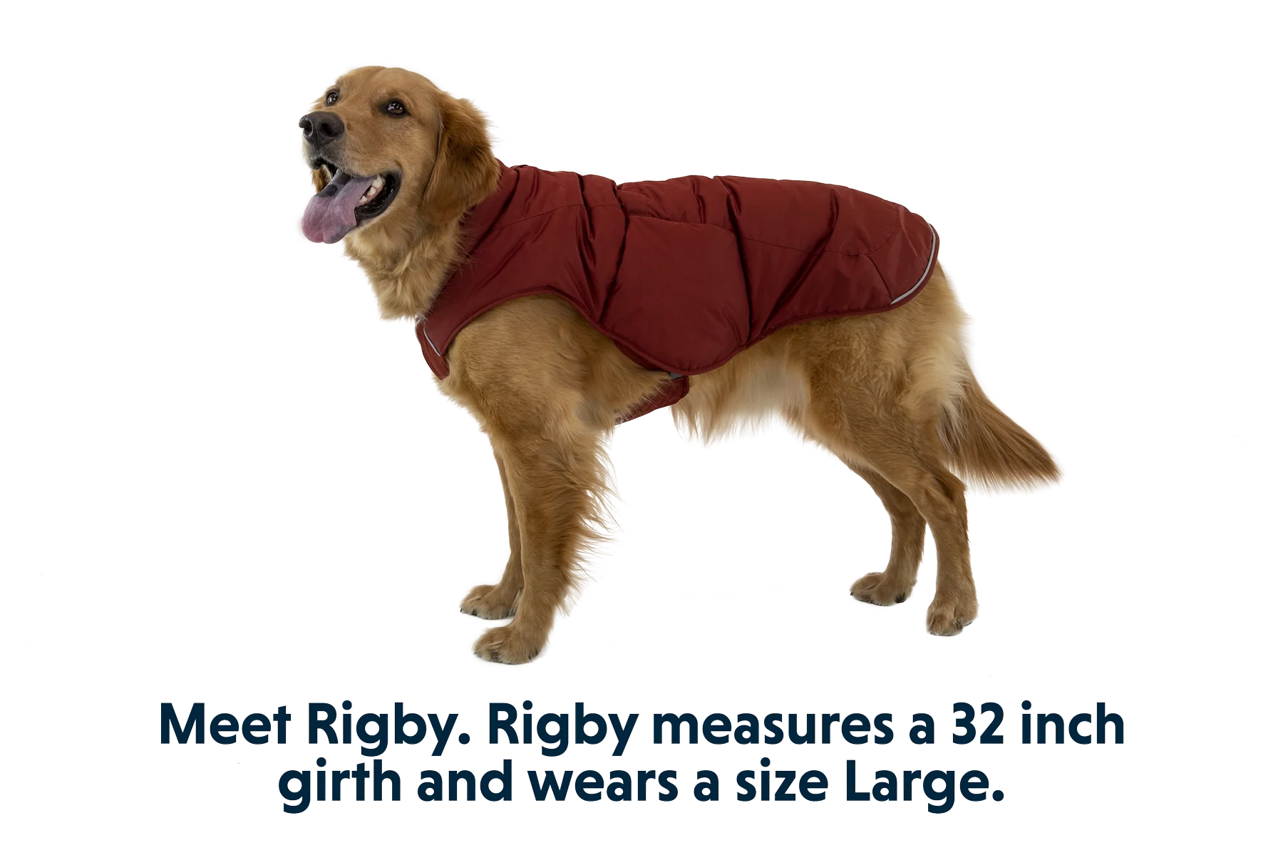 Quinzee™ Hundejacke - Image 32
