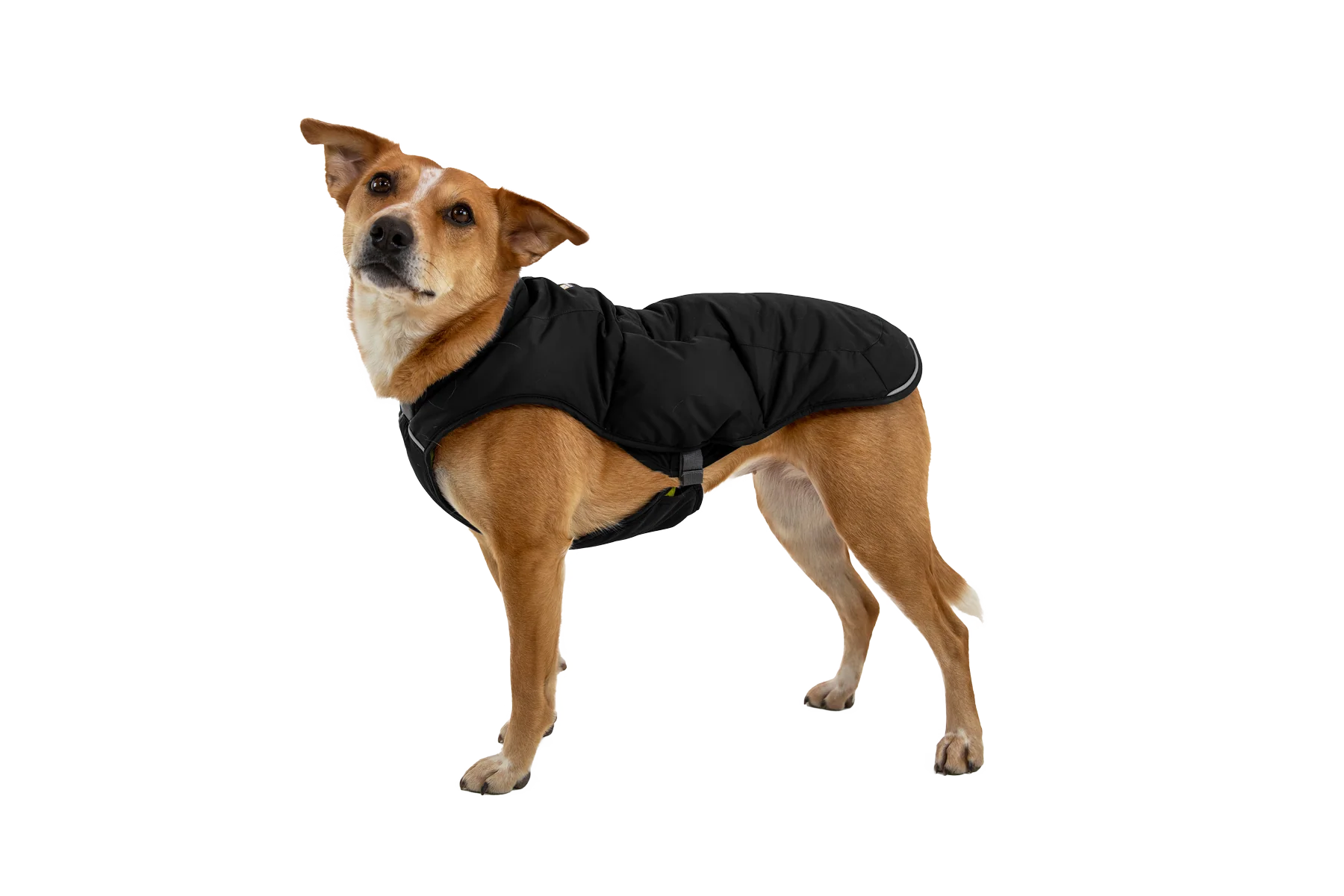 Quinzee™ Hundejacke - Image 40
